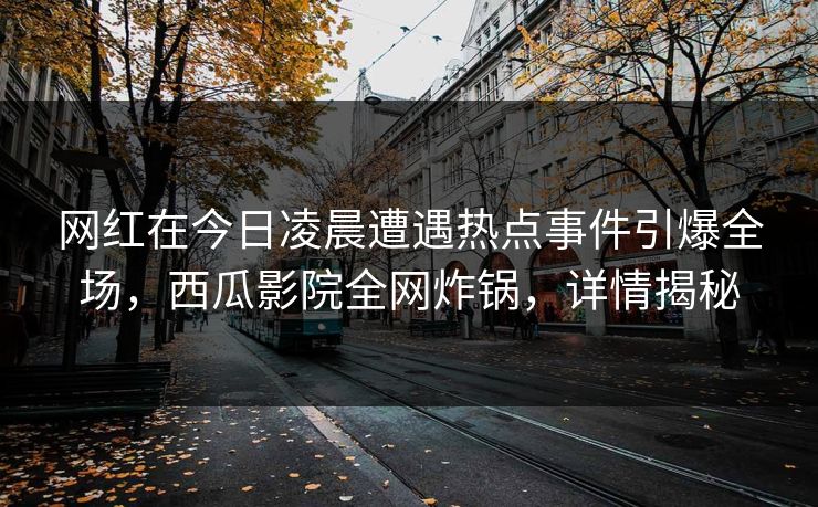 网红在今日凌晨遭遇热点事件引爆全场，西瓜影院全网炸锅，详情揭秘