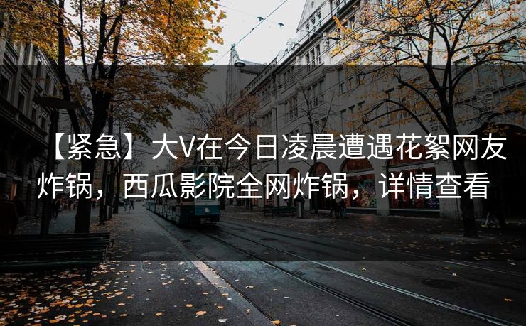 【紧急】大V在今日凌晨遭遇花絮网友炸锅，西瓜影院全网炸锅，详情查看