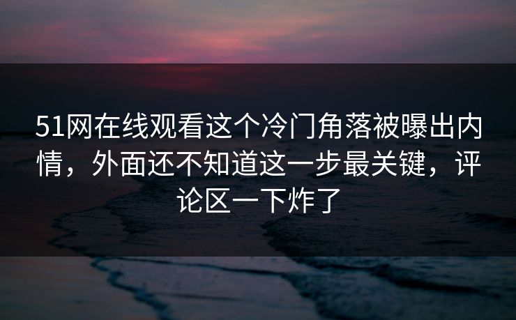 51网在线观看这个冷门角落被曝出内情，外面还不知道这一步最关键，评论区一下炸了